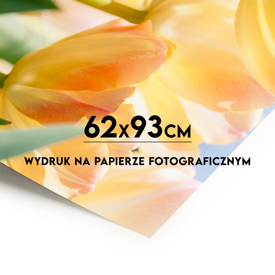 Wydruk fotograficzny Fine Art 62x93 cm